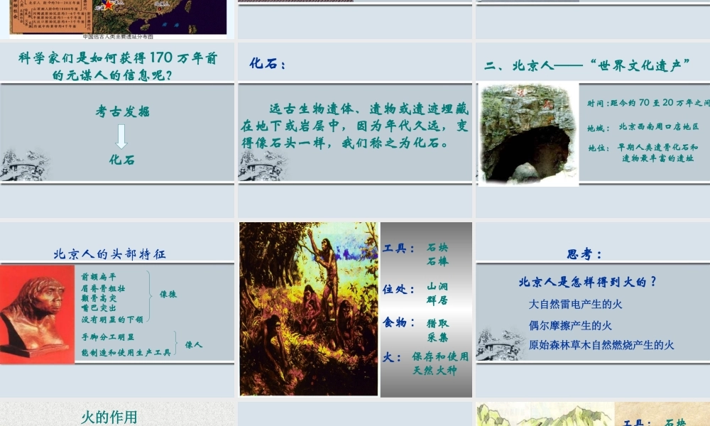 七年级历史上：第1课祖国境内的早期人类课件(冀教版) 课件