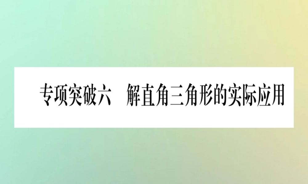 中考数学精选准点备考复习 第二轮 中档题突破 专项突破6 解直角三角形的实际应用课件 新人教版 课件