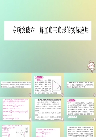 中考数学精选准点备考复习 第二轮 中档题突破 专项突破6 解直角三角形的实际应用课件 新人教版 课件
