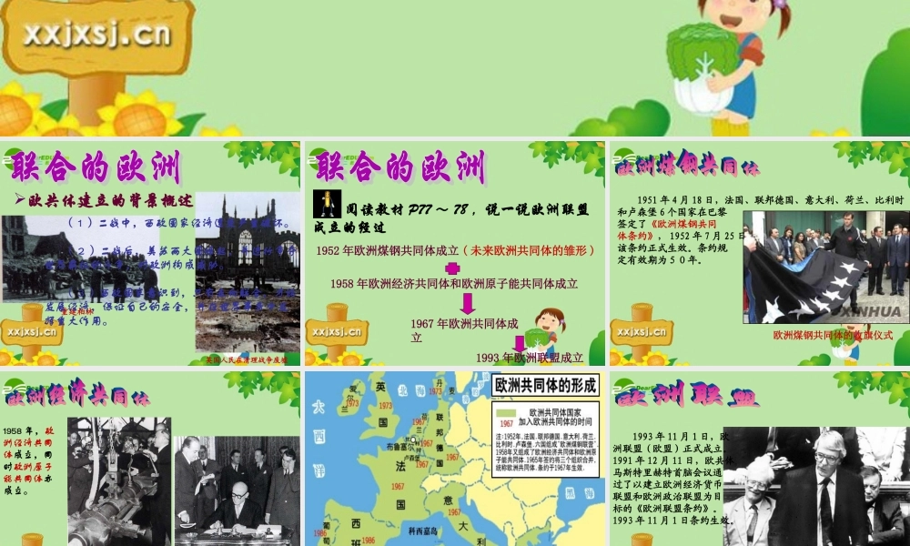 九年级历史下册 313(挑战 两极 )课件北师大版 课件