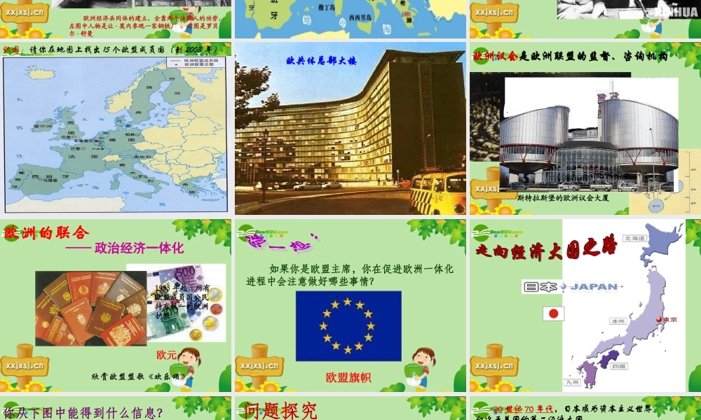 九年级历史下册 313(挑战 两极 )课件北师大版 课件