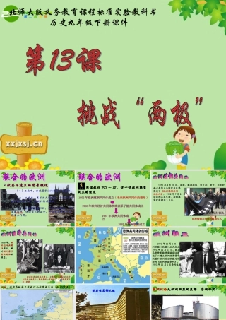 九年级历史下册 313(挑战 两极 )课件北师大版 课件