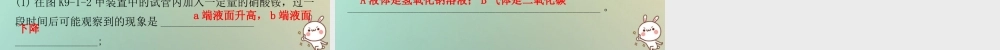 九年级化学下册 第九单元 溶液 课题1 溶液的形成 课时2 溶解时的吸热或放热现象乳化现象(小测本)课件 (新版)新人教版 课件