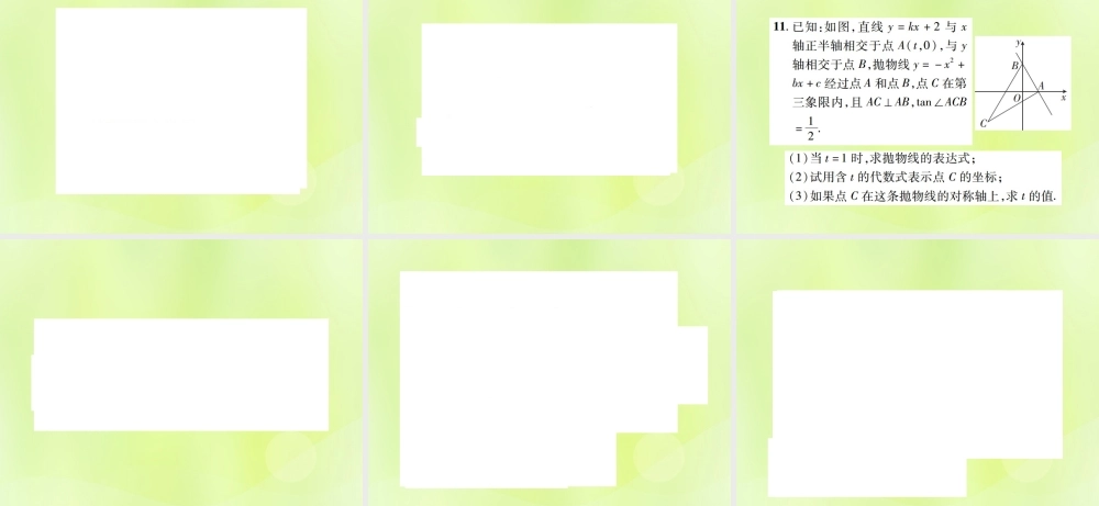 中考数学总复习 第三单元 函数及其图象 第12课时 二次函数的图象与性质(高效集训本)课件