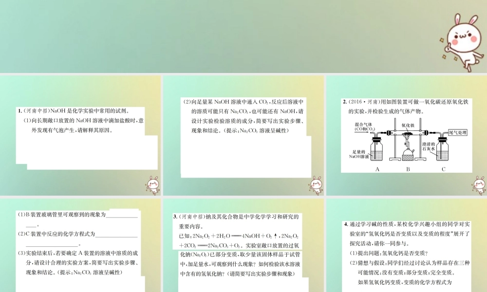 九年级化学下册 第十一单元 盐 化肥 实验专题(三)碱变质的探究课件 (新版)新人教版 课件