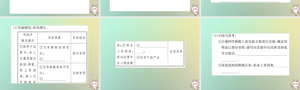 九年级化学下册 第十一单元 盐 化肥 实验专题(三)碱变质的探究课件 (新版)新人教版 课件