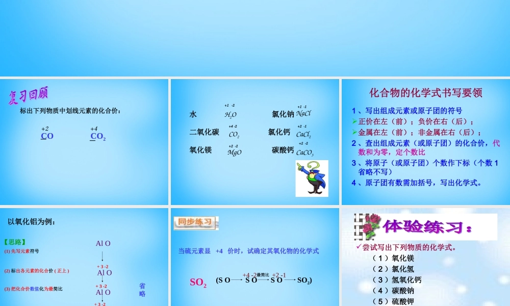 九年级化学上册(43 化学式的书写和命名)课件 (新版)沪教版 课件