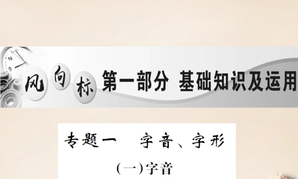 中考语文二轮复习 专题能力提升 第一部分 基础知识及运用 专题一 字音、字形(精讲)课件