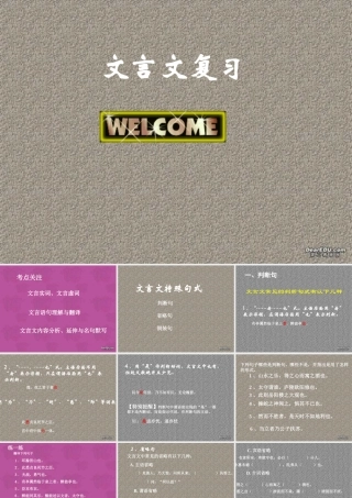 中考文言文特殊句式复习 中考语文必胜宝典课件集