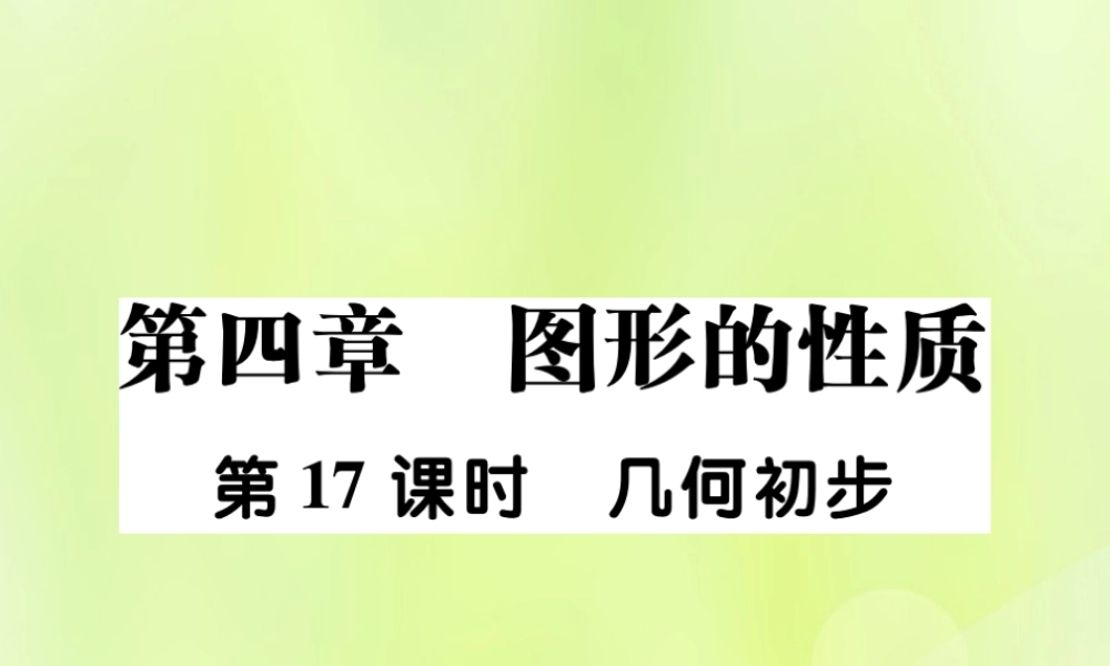 中考数学总复习 第一部分 考点梳理 第四章 图形的性质 第17课时 几何初步课件