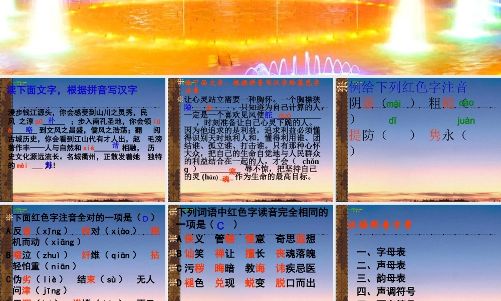 中考语文复习专题 语音课件