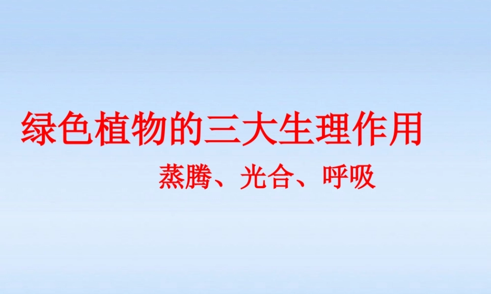 中考生物复习课件-绿色植物的三大生理作用 人教新课标版 课件