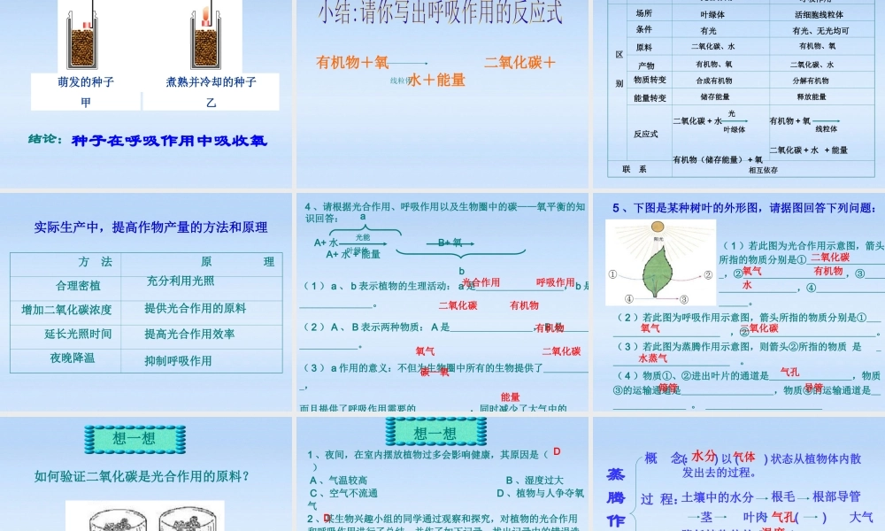 中考生物复习课件-绿色植物的三大生理作用 人教新课标版 课件