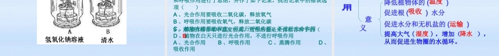 中考生物复习课件-绿色植物的三大生理作用 人教新课标版 课件