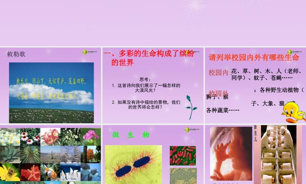 七年级政治上册 思品第三课第一框 世界因生命而精彩课件 新人教版 课件