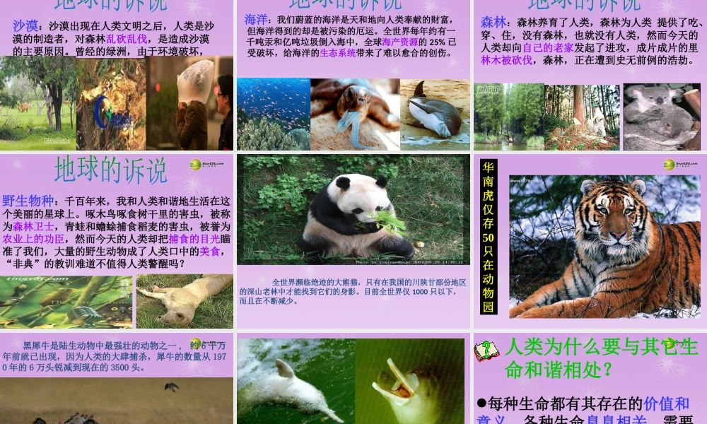 七年级政治上册 思品第三课第一框 世界因生命而精彩课件 新人教版 课件