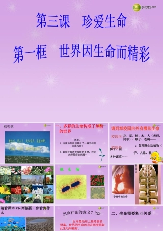 七年级政治上册 思品第三课第一框 世界因生命而精彩课件 新人教版 课件