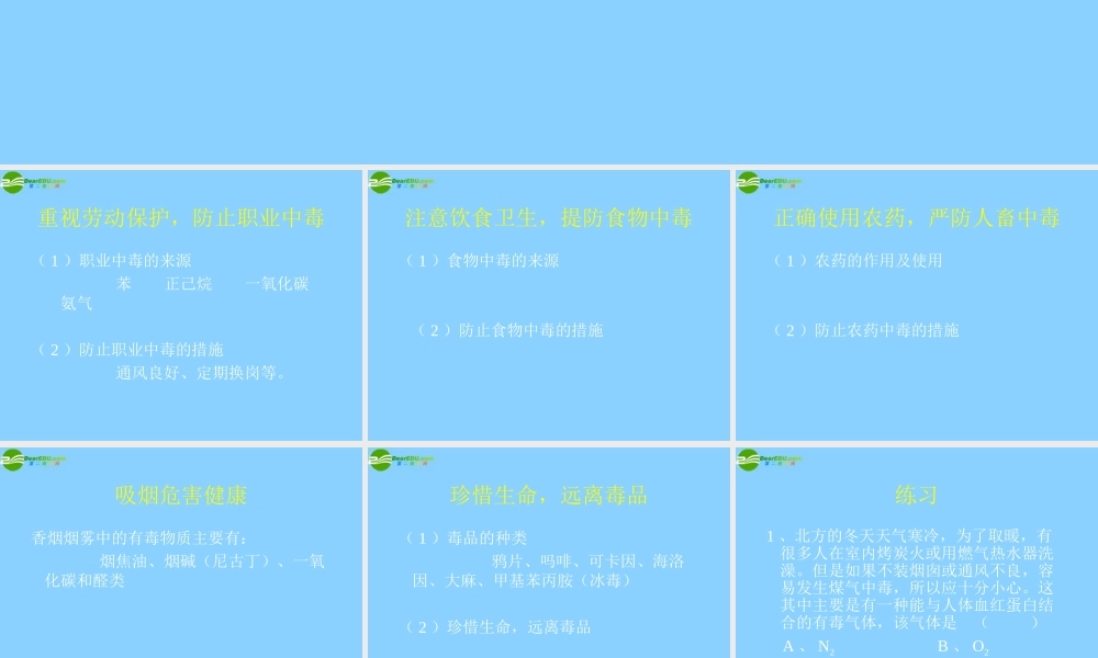 九年级化学 警惕危害健康的化学品课件 粤教版 课件