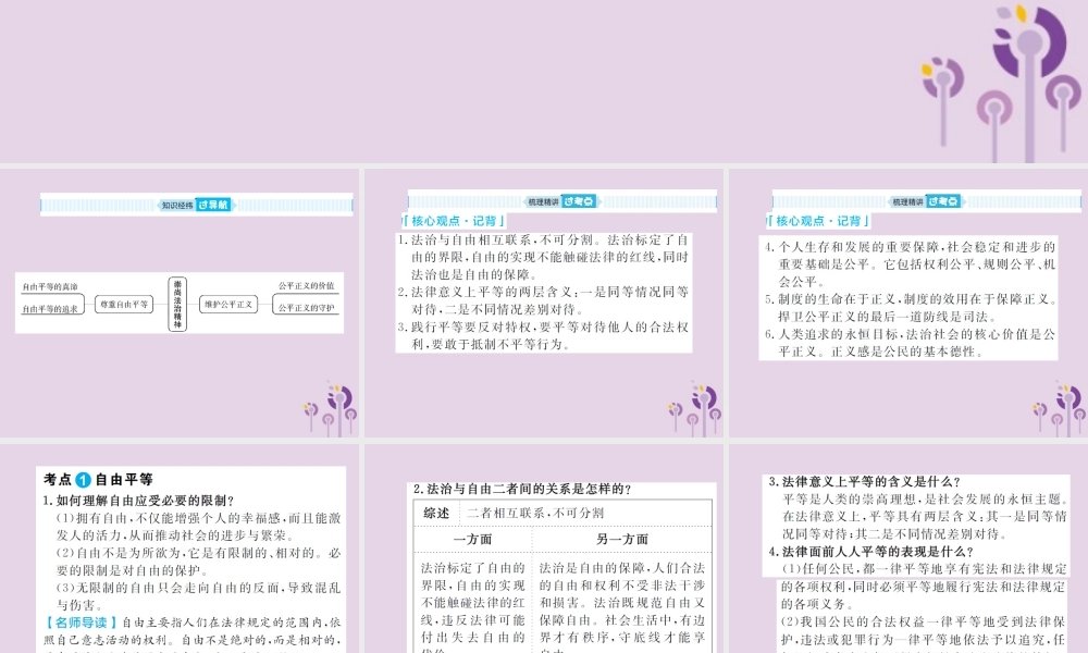 中考道德与法治总复习 八下 第四单元 崇尚法治精神课件