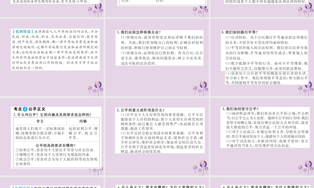 中考道德与法治总复习 八下 第四单元 崇尚法治精神课件