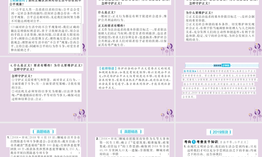 中考道德与法治总复习 八下 第四单元 崇尚法治精神课件