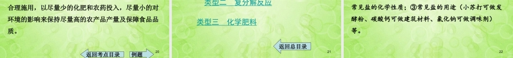 (湖南专用)中考化学总复习 第一部分 第十一单元　盐　化肥课件(考点清单+13年中考试题) 课件