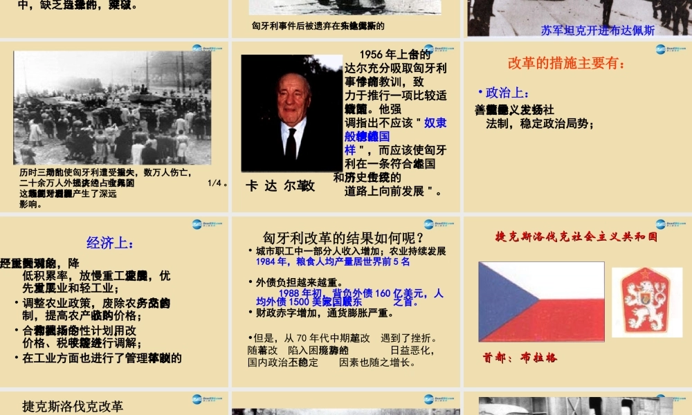 九年级历史下册 11 东欧社会主义国家的改革与演变课件 新人教版 课件