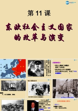 九年级历史下册 11 东欧社会主义国家的改革与演变课件 新人教版 课件