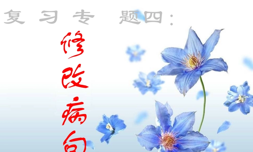 中考语文复习专题 修改病句课件