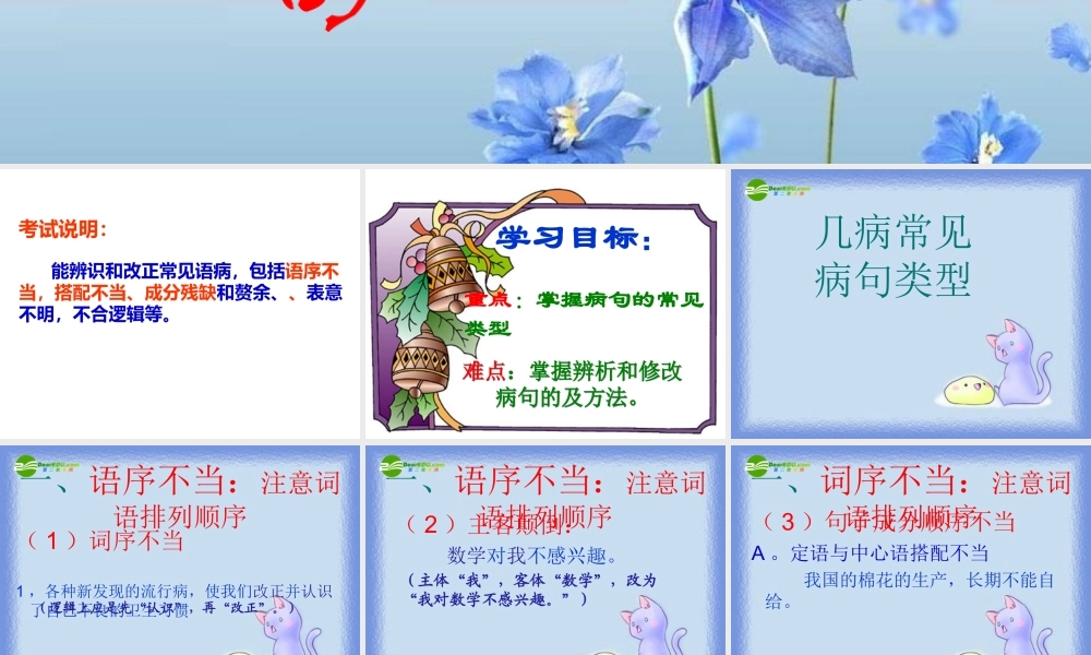 中考语文复习专题 修改病句课件