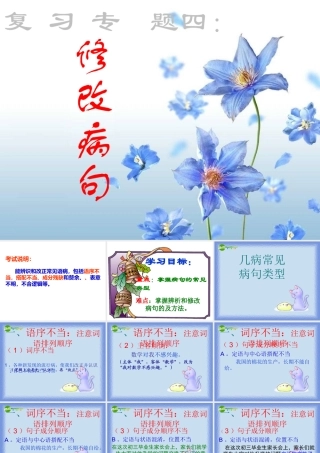 中考语文复习专题 修改病句课件