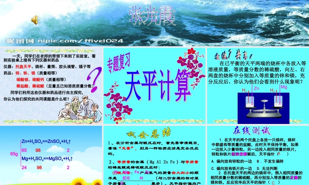 九年级化学专题复习天平计算课件鲁教版 课件