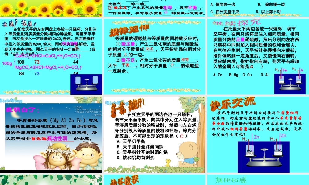 九年级化学专题复习天平计算课件鲁教版 课件