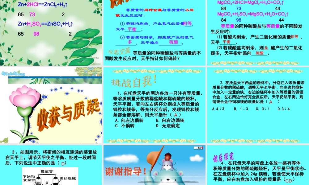 九年级化学专题复习天平计算课件鲁教版 课件