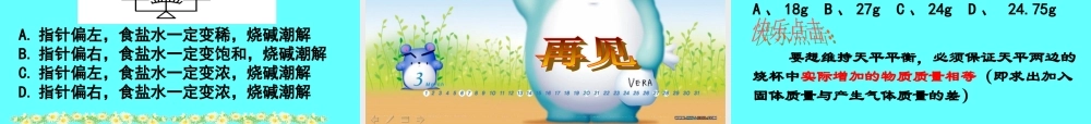 九年级化学专题复习天平计算课件鲁教版 课件