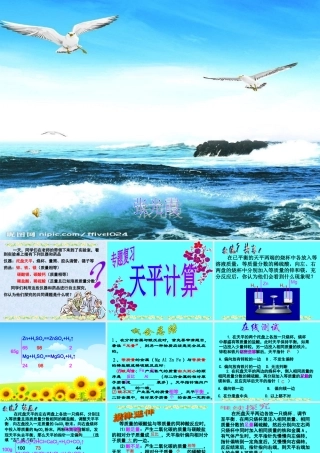 九年级化学专题复习天平计算课件鲁教版 课件