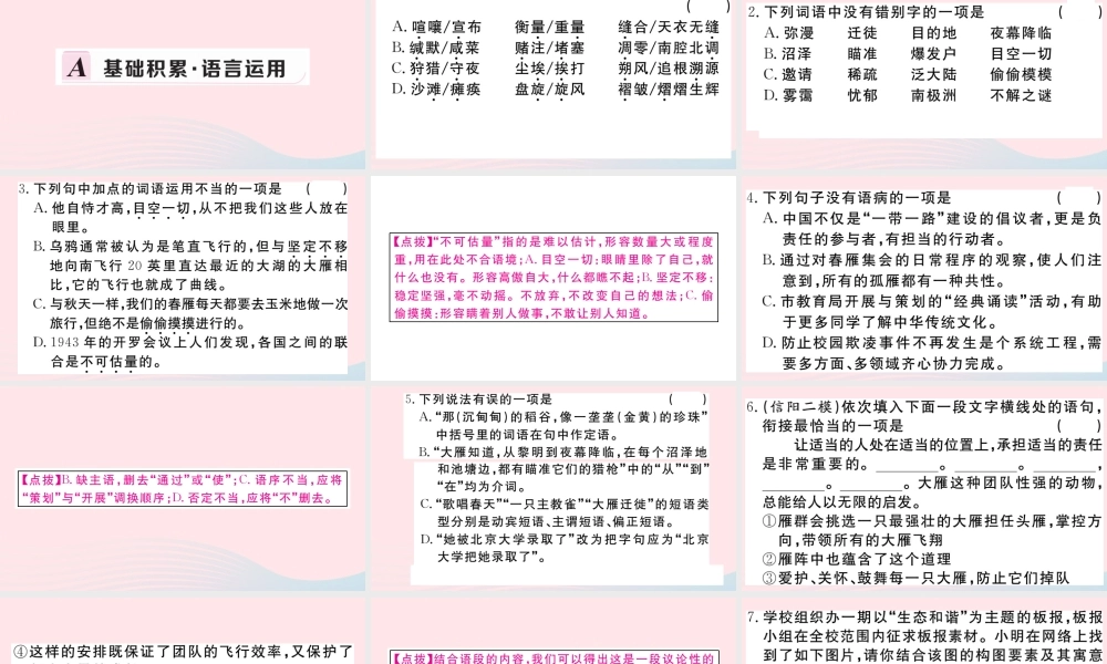 (河南专版)八年级语文下册 第二单元 7 大雁归来习题课件 新人教版 课件