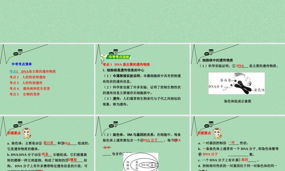 中考生物 第一部分 教材知识梳理 第8单元 第22章 生物的遗传和变异复习课件 苏教版 课件