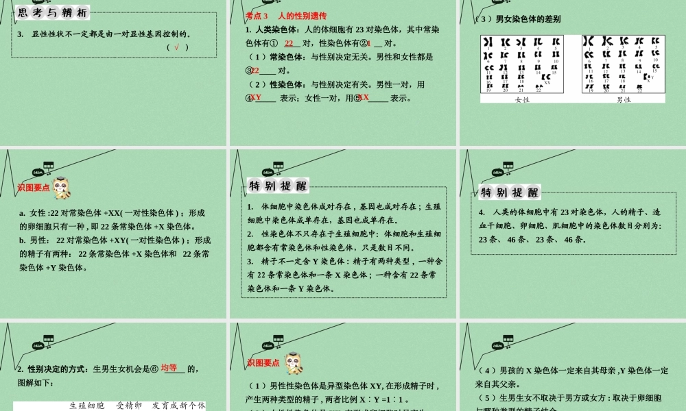 中考生物 第一部分 教材知识梳理 第8单元 第22章 生物的遗传和变异复习课件 苏教版 课件