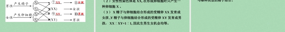 中考生物 第一部分 教材知识梳理 第8单元 第22章 生物的遗传和变异复习课件 苏教版 课件