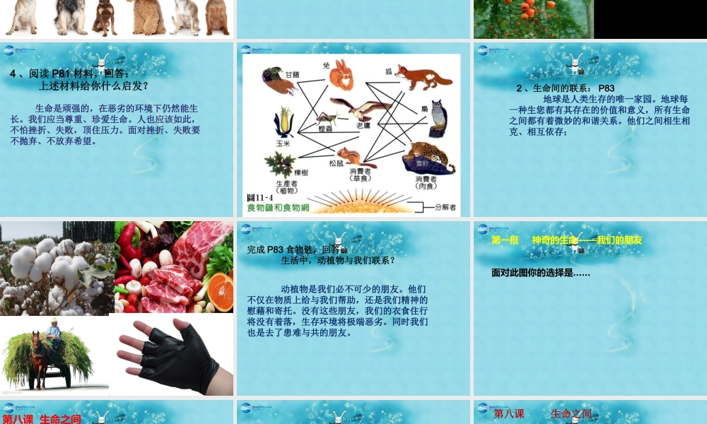 七年级政治上册 第八课 生命之间课件 人民版 课件