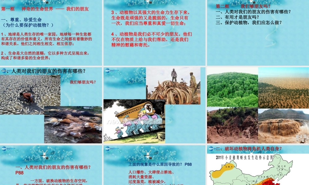 七年级政治上册 第八课 生命之间课件 人民版 课件