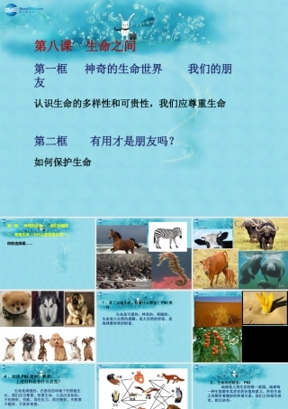 七年级政治上册 第八课 生命之间课件 人民版 课件