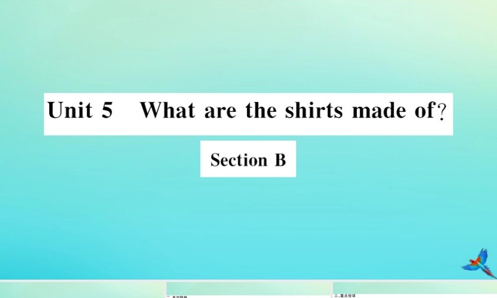 (河北专版)九年级英语全册 Unit 5 What are the shirts made of Section B习题课件 (新版)人教新目标版 课件
