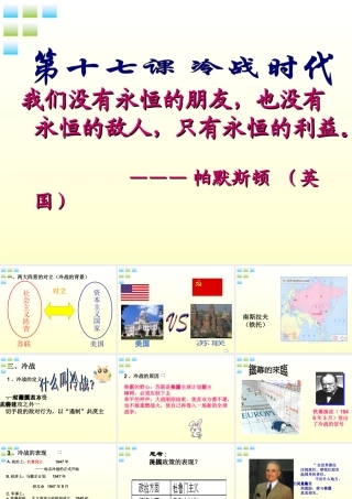 九年级历史上册(冷战时代)课件 华东师大版 课件