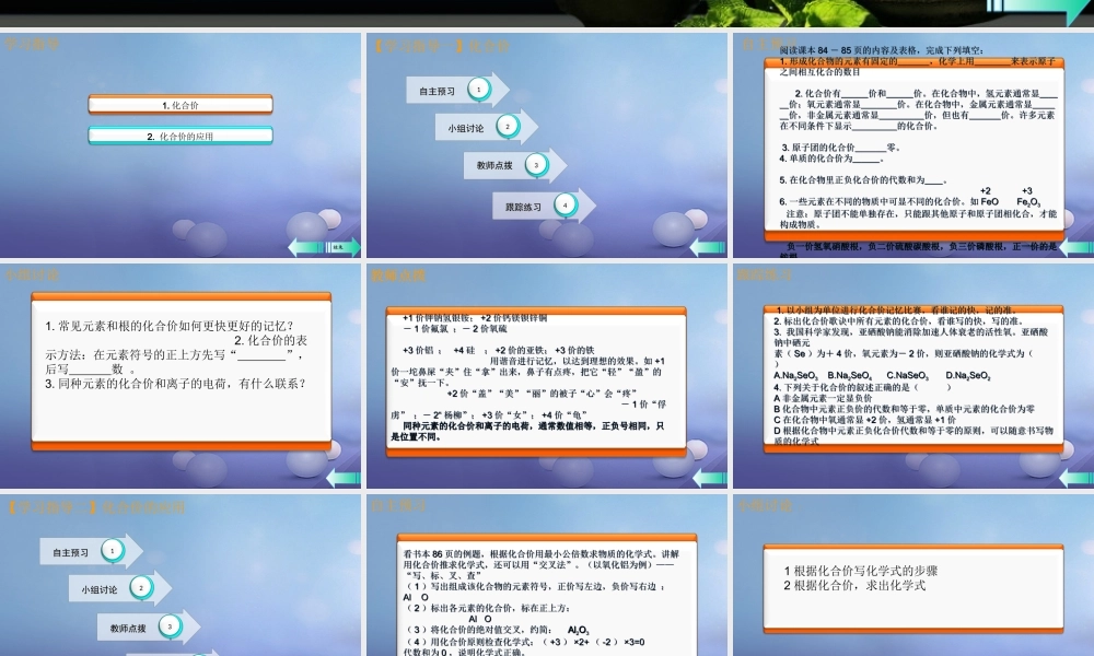 九年级化学上册 第四单元 自然界的水 课题4 化学式与化合价 第2课时 化合价导学课件 (新版)新人教版 课件