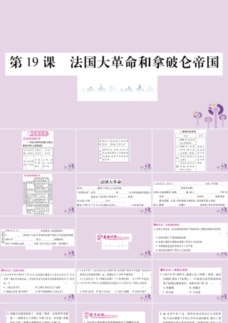九年级历史上册 第6单元 资本主义制度的初步确立 第19课 法国大革命和拿破仑帝国习题课件 新人教版 课件