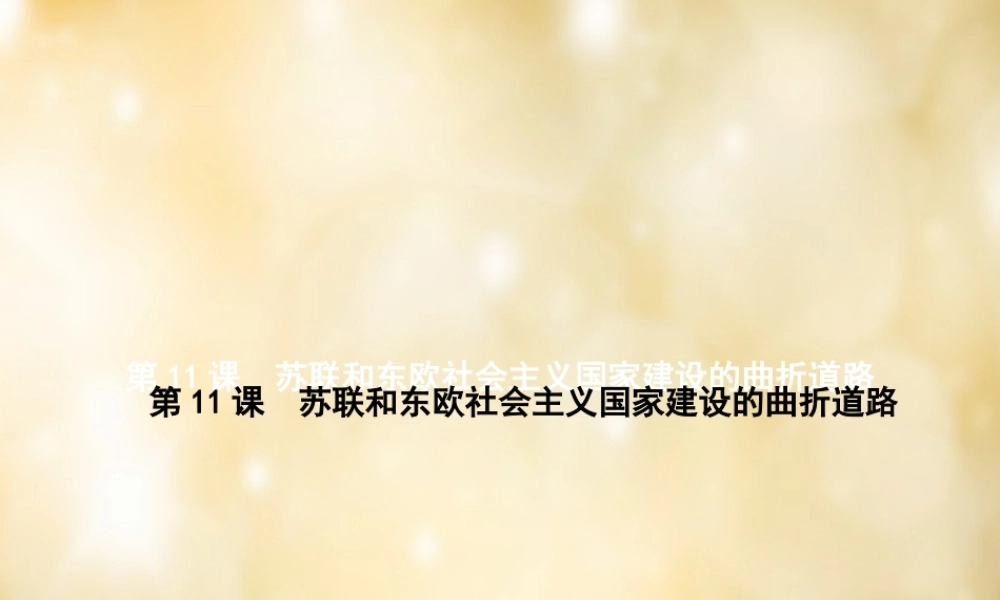 九年级历史下册 第11课 苏联和东欧社会主义国家建设的曲折道路课件 中华书局版 课件