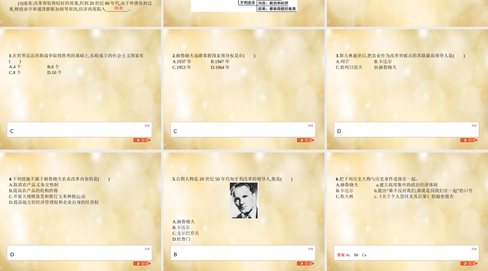 九年级历史下册 第11课 苏联和东欧社会主义国家建设的曲折道路课件 中华书局版 课件