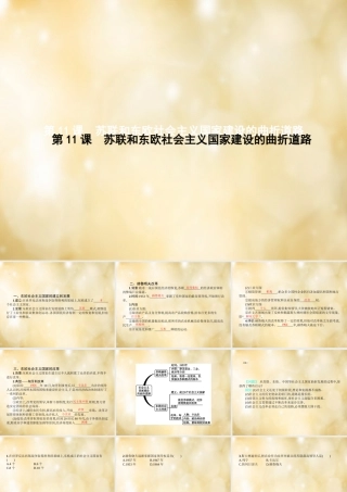 九年级历史下册 第11课 苏联和东欧社会主义国家建设的曲折道路课件 中华书局版 课件